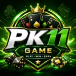 PK11 Game