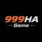 999HA Game