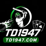 TD1947 Game